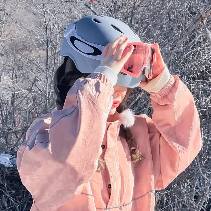 雪鹰领主动漫